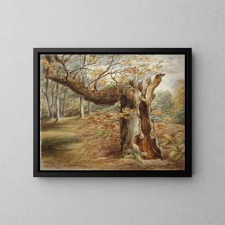 Tree in Decomposition - Elizabeth Murray — framed artwork on a wall