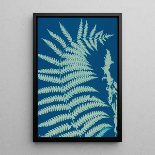 Ella J C Hurd - Ferns of Huntington Long Island Pl14.webp