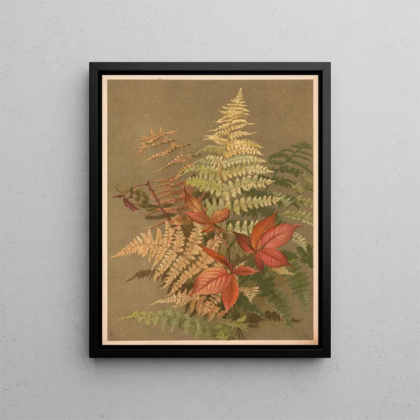 Autumn Ferns - Ellen Fisher — framed artwork on a wall