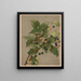 Mûres Painting - Ellen Fisher — framed artwork on a wall