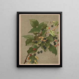Mûres Painting - Ellen Fisher — framed artwork on a wall