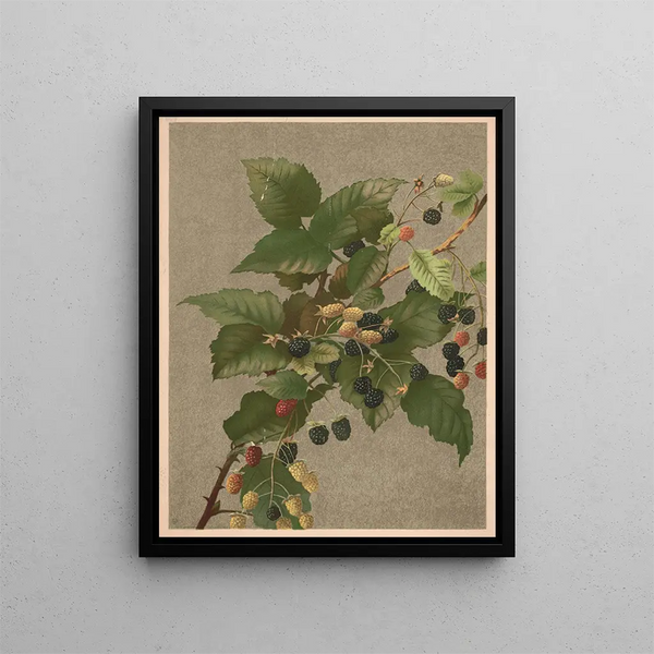 Mûres Painting - Ellen Fisher — framed artwork on a wall