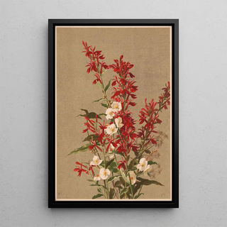 Flower of the cardinal - Ellen Fisher — framed artwork on a wall