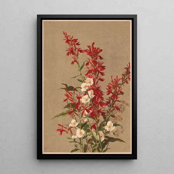 Flower of the cardinal - Ellen Fisher — framed artwork on a wall