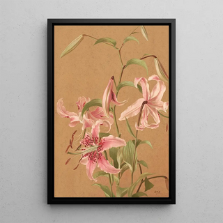 Lys - Ellen Fisher — framed artwork on a wall