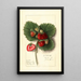 Fragaria Shipping King - Ellen Isham Schutt — framed artwork on a wall