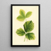 Fragaria Strawberry - Ellen Isham Schutt | Painting — framed artwork on a wall