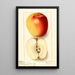 Malus domestica Winter Banana - Ellen Isham Schutt — framed artwork on a wall