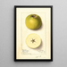Malus domestica Yellow Newtown - Ellen Isham Schutt — framed artwork on a wall