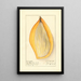 Mangifera indica Ameeri - Ellen Isham Schutt — framed artwork on a wall