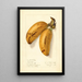 Musa Dacca - Ellen Isham Schutt — framed artwork on a wall