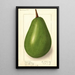 Persea Johnstone - Ellen Isham Schutt — framed artwork on a wall