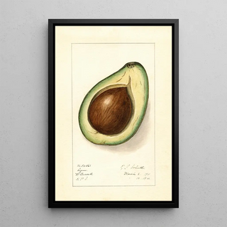 Persea Lyon - Ellen Isham Schutt — framed artwork on a wall