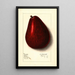 Persea Olds - Ellen Isham Schutt — framed artwork on a wall