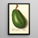 Persea Pollock - Ellen Isham Schutt — framed artwork on a wall