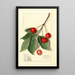 Prunus avium Govenor Wood - Ellen Isham Schutt | Painting — framed artwork on a wall