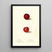 Prunus domestica Free Silver - Ellen Isham Schutt | Painting — framed artwork on a wall