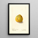 Prunus domestica Wickson - Ellen Isham Schutt — framed artwork on a wall