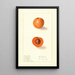 Prunus mume Nellie - Ellen Isham Schutt — framed artwork on a wall