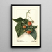 Rubus Golden Queen - Ellen Isham Schutt | Painting — framed artwork on a wall