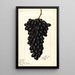 Vitis Askarie - Ellen Isham Schutt — framed artwork on a wall