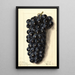 Vitis Campbells Early - Ellen Isham Schutt — framed artwork on a wall