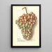 Vitis Teneron - Ellen Isham Schutt — framed artwork on a wall