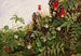 Wildflowers Painting No. 1 - Ellen Robbins — artwork view