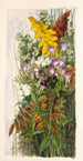 Wildflowers Painting - Ellen Robbins — artwork view