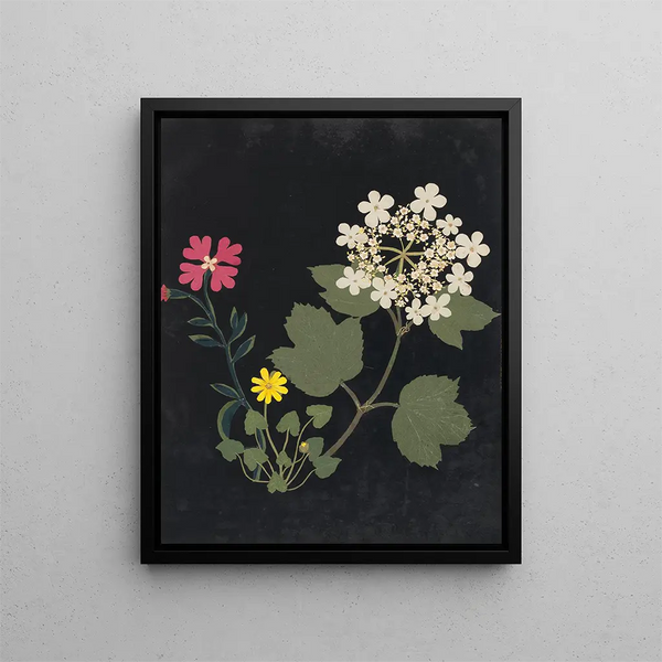 Paper-cut flower album painting pl. 03 - Ellen W. — framed artwork on a wall