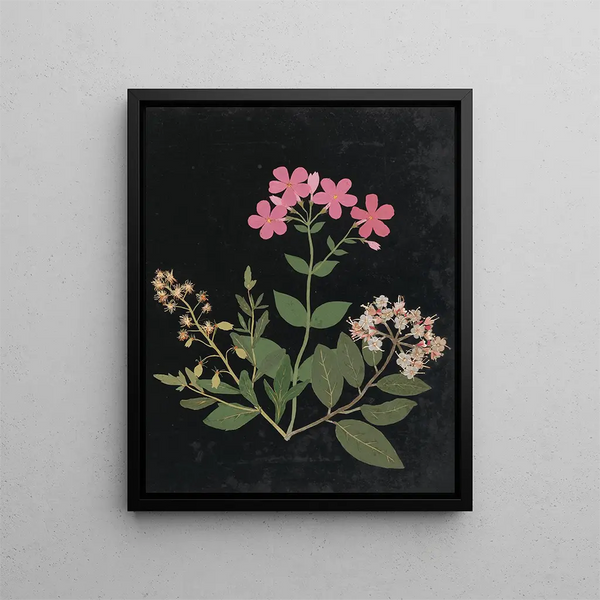 Paper-cut flower album painting pl. 07 - Ellen W. — framed artwork on a wall