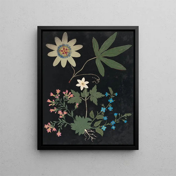 Paper Cut Flowers Album Painting pl. 10 - Ellen W. — framed artwork on a wall