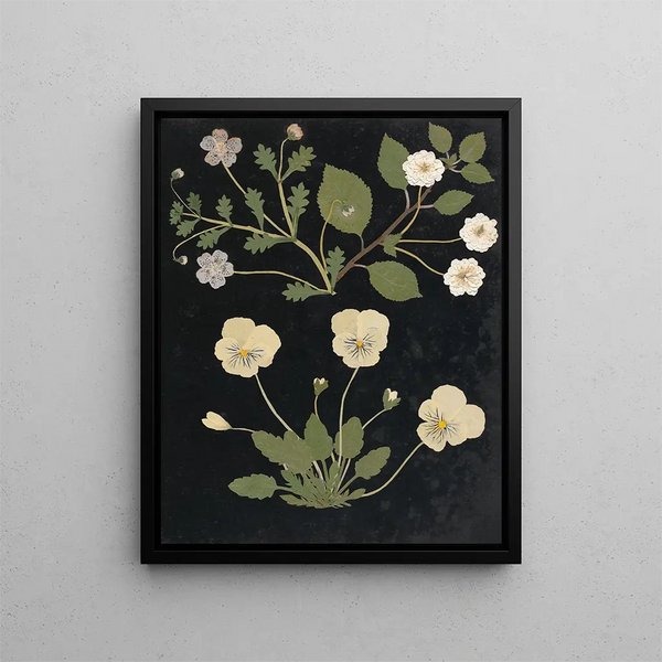 Flower Paper Cutout Album Painting pl. 11 - Ellen W. — framed artwork on a wall