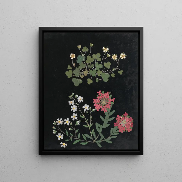 Paper-cut flower album painting pl. 15 - Ellen W. — framed artwork on a wall