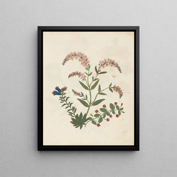 Flower Paper Cutout Album Painting pl. 16 - Ellen W. — framed artwork on a wall