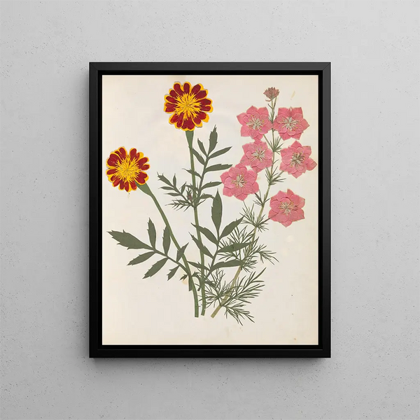 Paper-cut flower album painting pl. 17 - Ellen W. — framed artwork on a wall