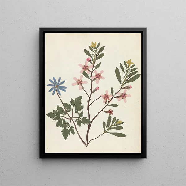 Paper-cut flower album painting Pl20 - Ellen W. — framed artwork on a wall