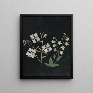 Ellen W - Album of cutpaper flowers Pl21.webp