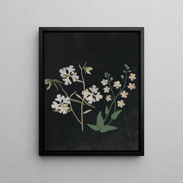 Paper-cut flower album painting Pl21 - Ellen W. — framed artwork on a wall