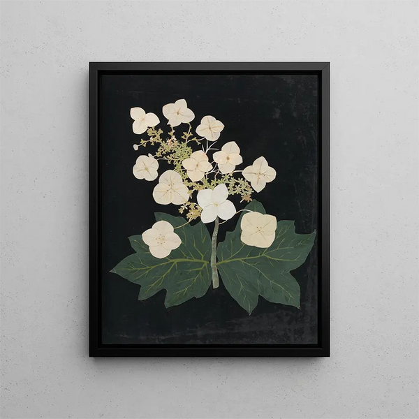 Paper-cut flower album painting Pl22 - Ellen W. — framed artwork on a wall