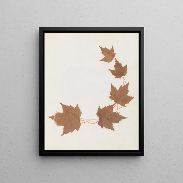 Paper-cut flower album painting Pl26 - Ellen W. — framed artwork on a wall
