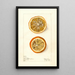 Citrus sinensis Painting - Elsie E. Lower — framed artwork on a wall