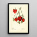 Fragaria Pink Tea painting - Elsie E. Lower — framed artwork on a wall