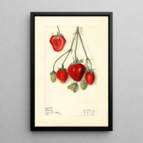 Fragaria Pink Tea painting - Elsie E. Lower — framed artwork on a wall