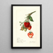 Fragaria Yant - Elsie E. Lower — framed artwork on a wall