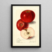 Malus domestica Lady Pippin Beach - Elsie E. Lower — framed artwork on a wall