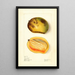 Mangifera indica Père Louis - Elsie E. Lower — framed artwork on a wall