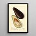 Persea Santa Barbara Early - Elsie E. Lower — framed artwork on a wall