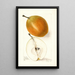 Pyrus communis Magnolia - Elsie E. Lower — framed artwork on a wall