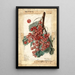 Diploma de Ribes - Elsie E. Lower — framed artwork on a wall